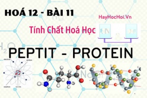Tính chất hoá học, công thức cấu  tạo của Peptit và Protein - hoá 12 bài 11